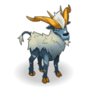 description images